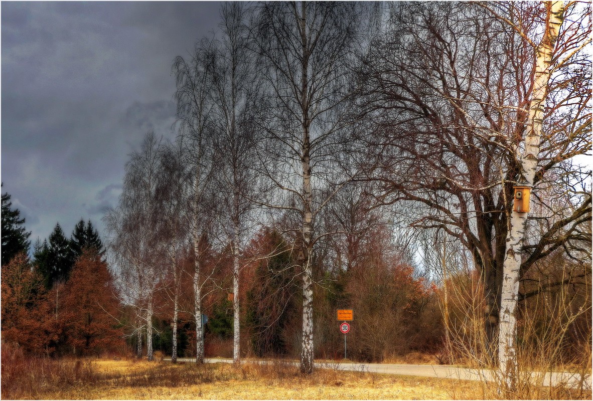 Absolut verkehrsberuhigte Zone