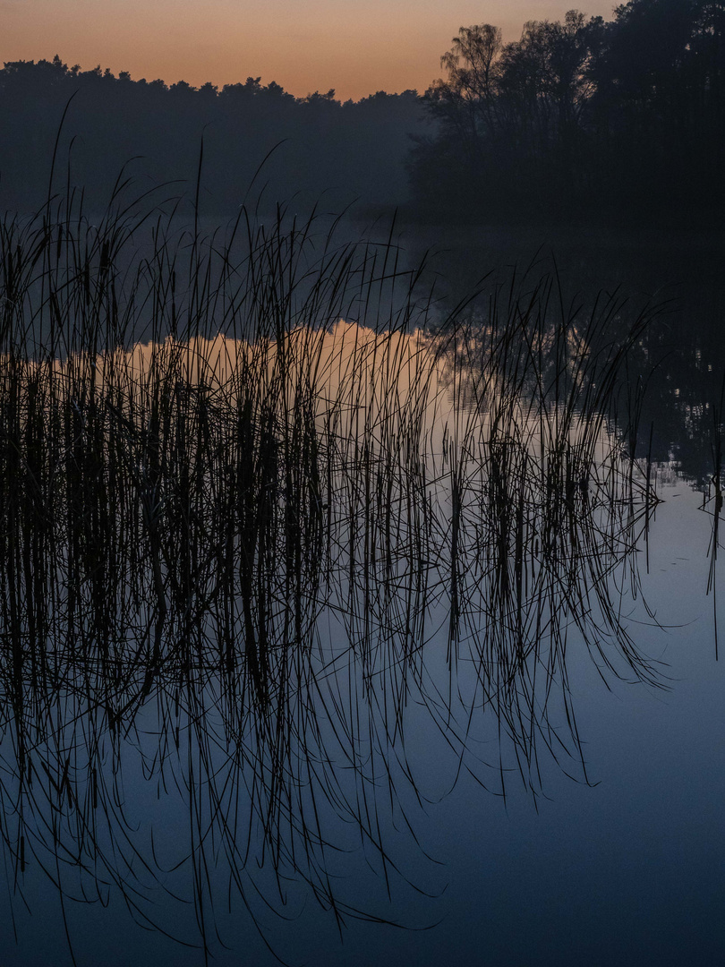 Absolute Stille am See