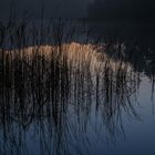 Absolute Stille am See