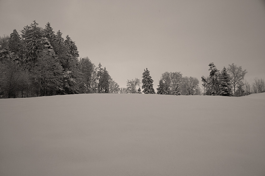 Absolute Stille über tiefverschneiter Winterlandschaft Zürcher Oberland