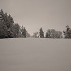 Absolute Stille über tiefverschneiter Winterlandschaft Zürcher Oberland