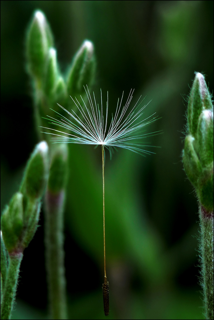 Absolute Windstille