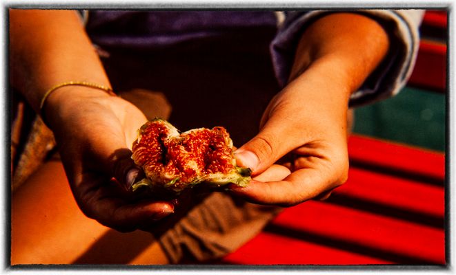 Absolutely Delicious