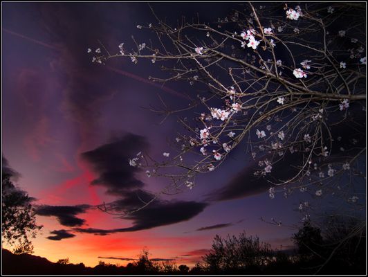 Absorción cromática