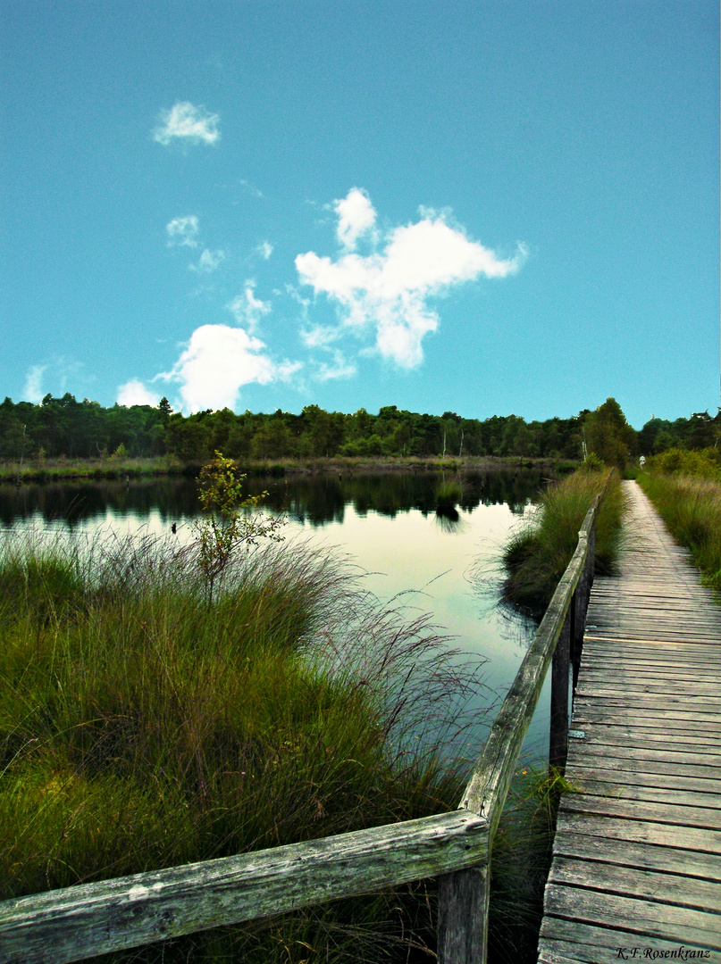 Abstecher ins Pietzmoor