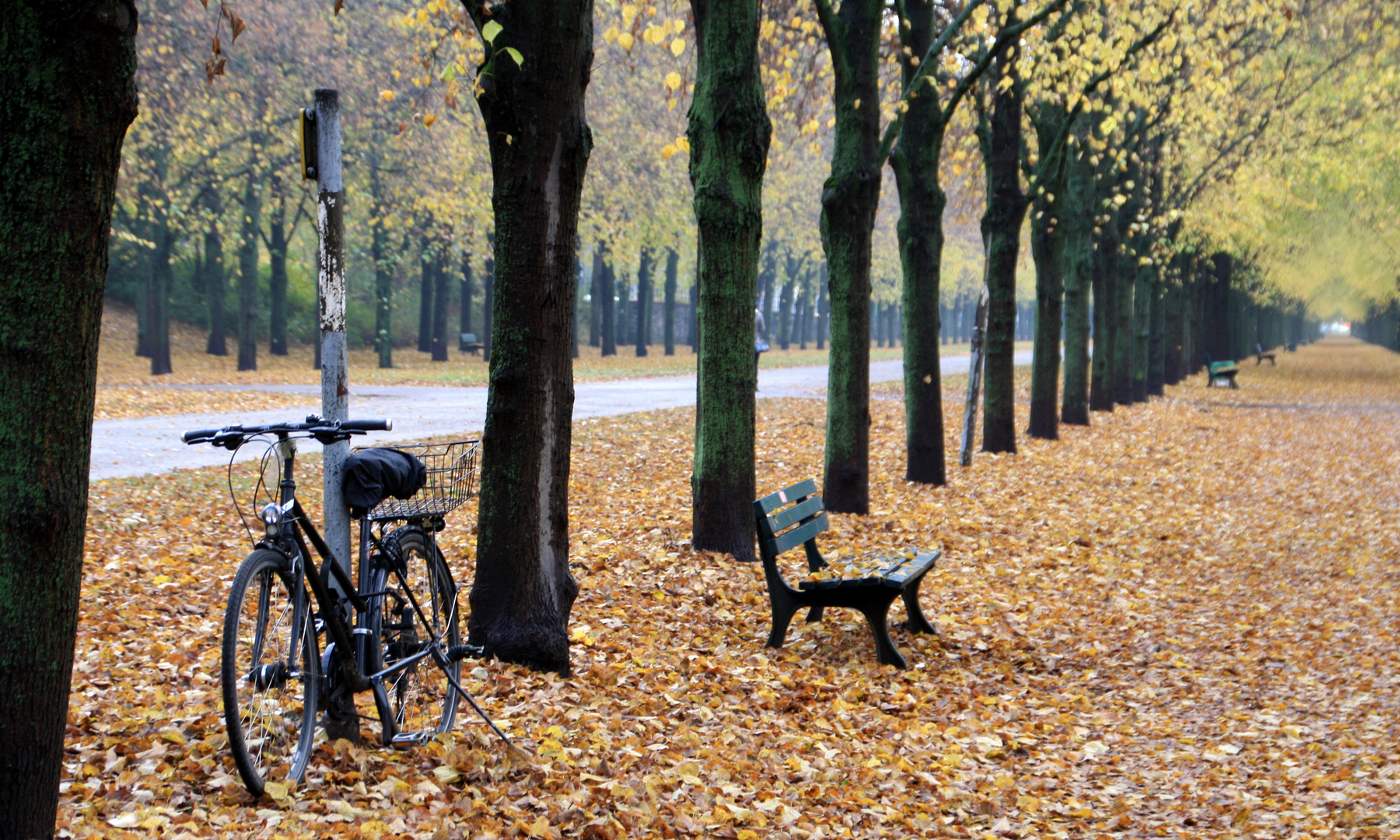 Abstellplatz in der Lindenallee