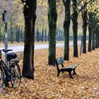 Abstellplatz in der Lindenallee