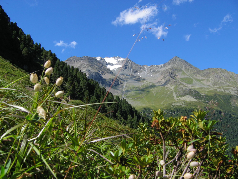 Abstieg Dresdner Hütte Stubaital