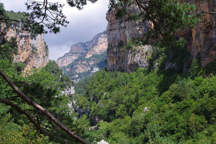 Abstieg in die Anisclo Schlucht 