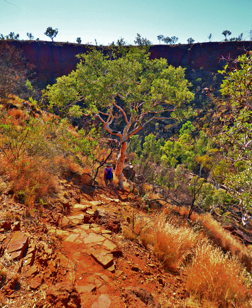 Abstieg in die Dales Gorge