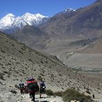 Abstieg ins Kali Gandaki Tal
