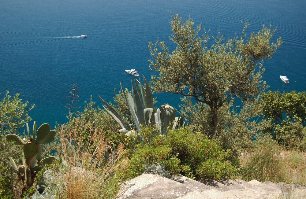 Abstieg nach Positano