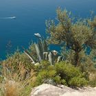 Abstieg nach Positano