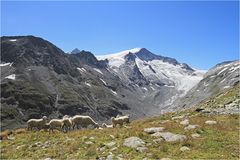 Abstieg über den St. Pöltner Höhenweg