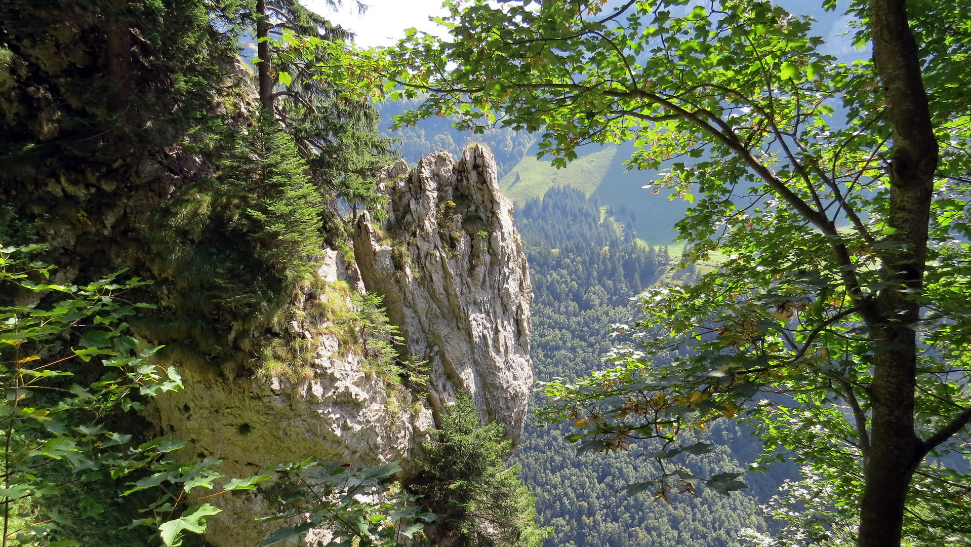 Abstieg vom Aescher zum Seealpsee