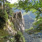 Abstieg vom Aescher zum Seealpsee