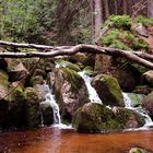 Abstieg vom Brocken / Harz