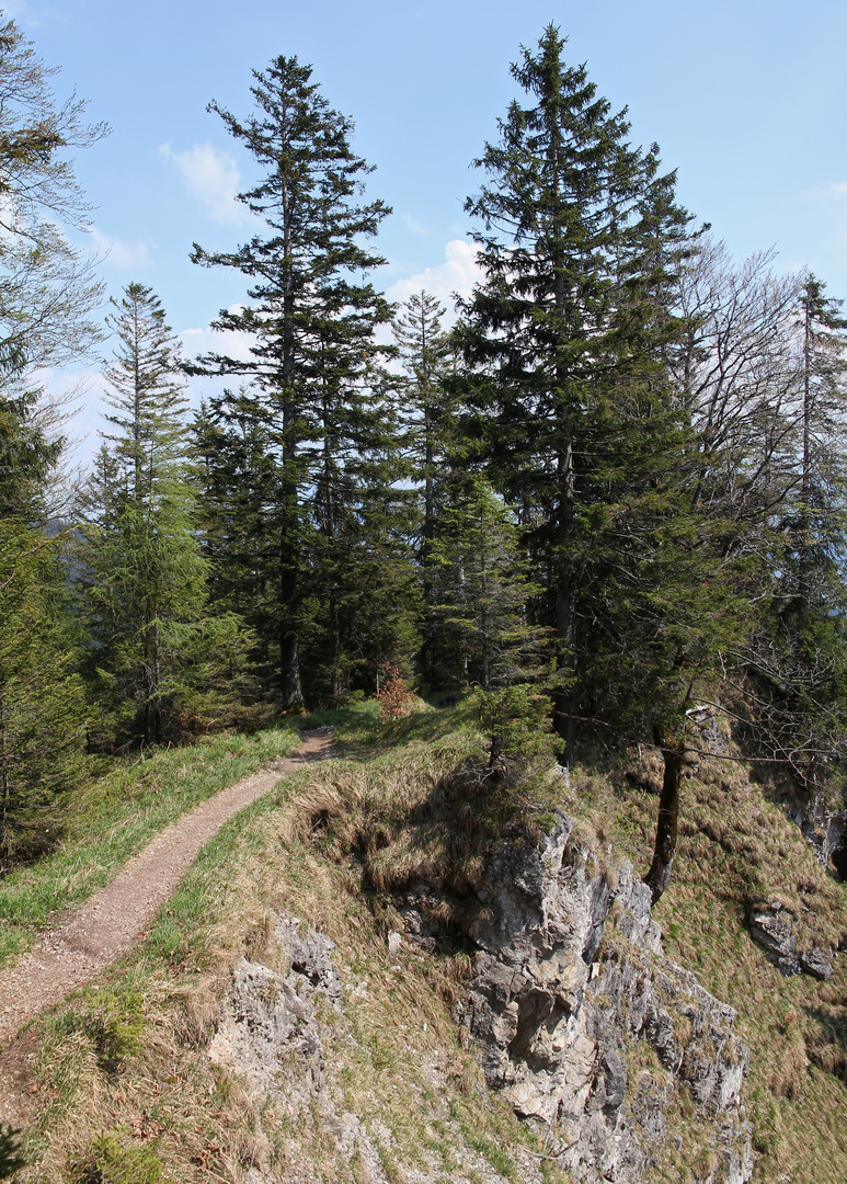 Abstieg vom Heimgarten nach Walchensee am Walchensee (9855_ji)