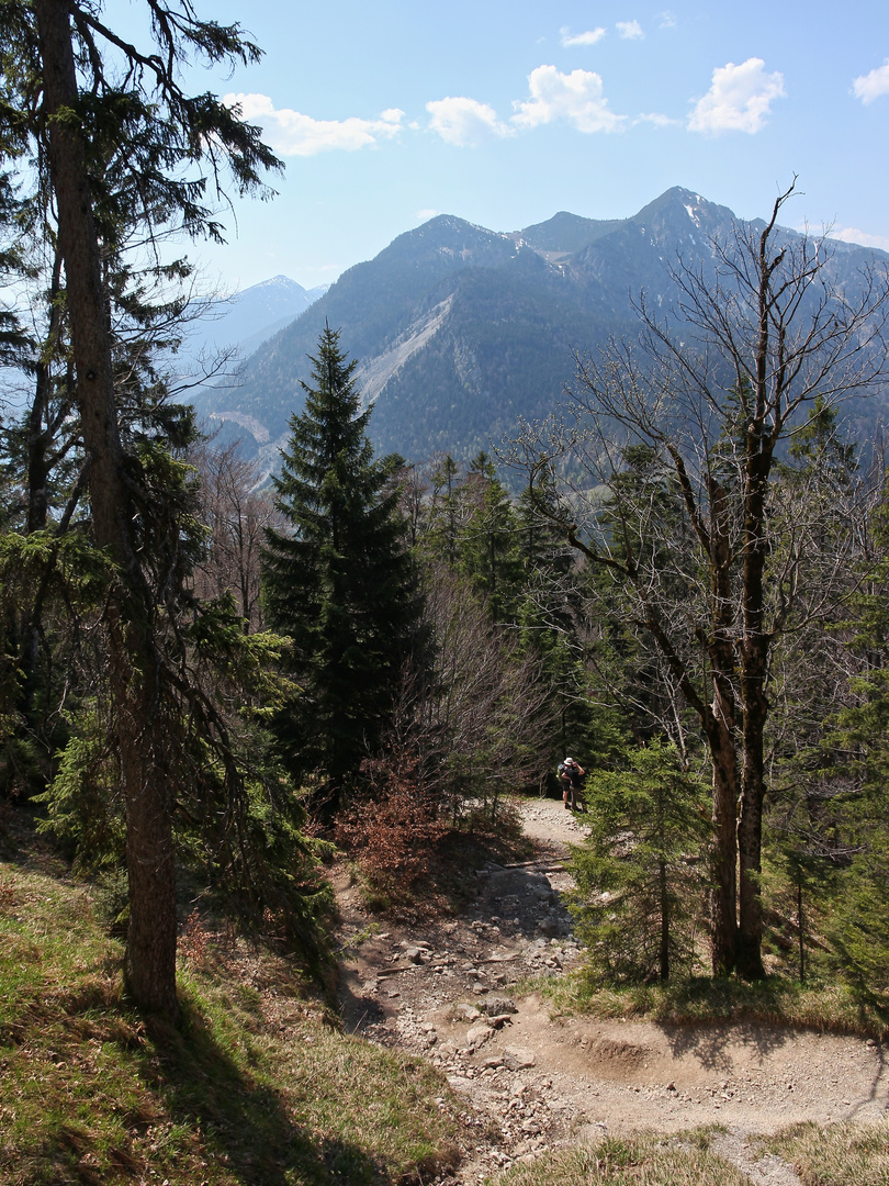 Abstieg vom Jochberg zum Kesselbergpaß (9161_ji)