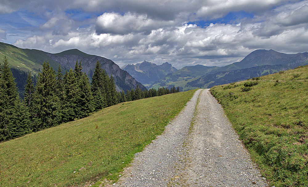 Abstieg vom Leiterli (Lenk, CH)