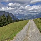 Abstieg vom Leiterli (Lenk, CH)