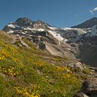 Abstieg vom Piz Buin