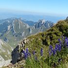 Abstieg vom Säntis, Schweiz