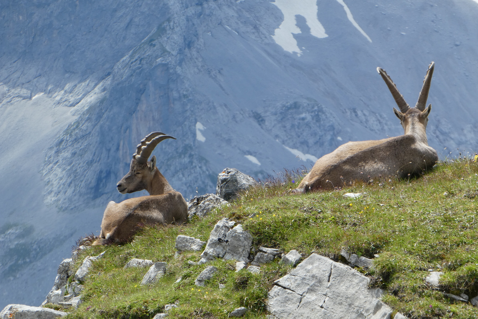 Abstieg vom Sonnjoch