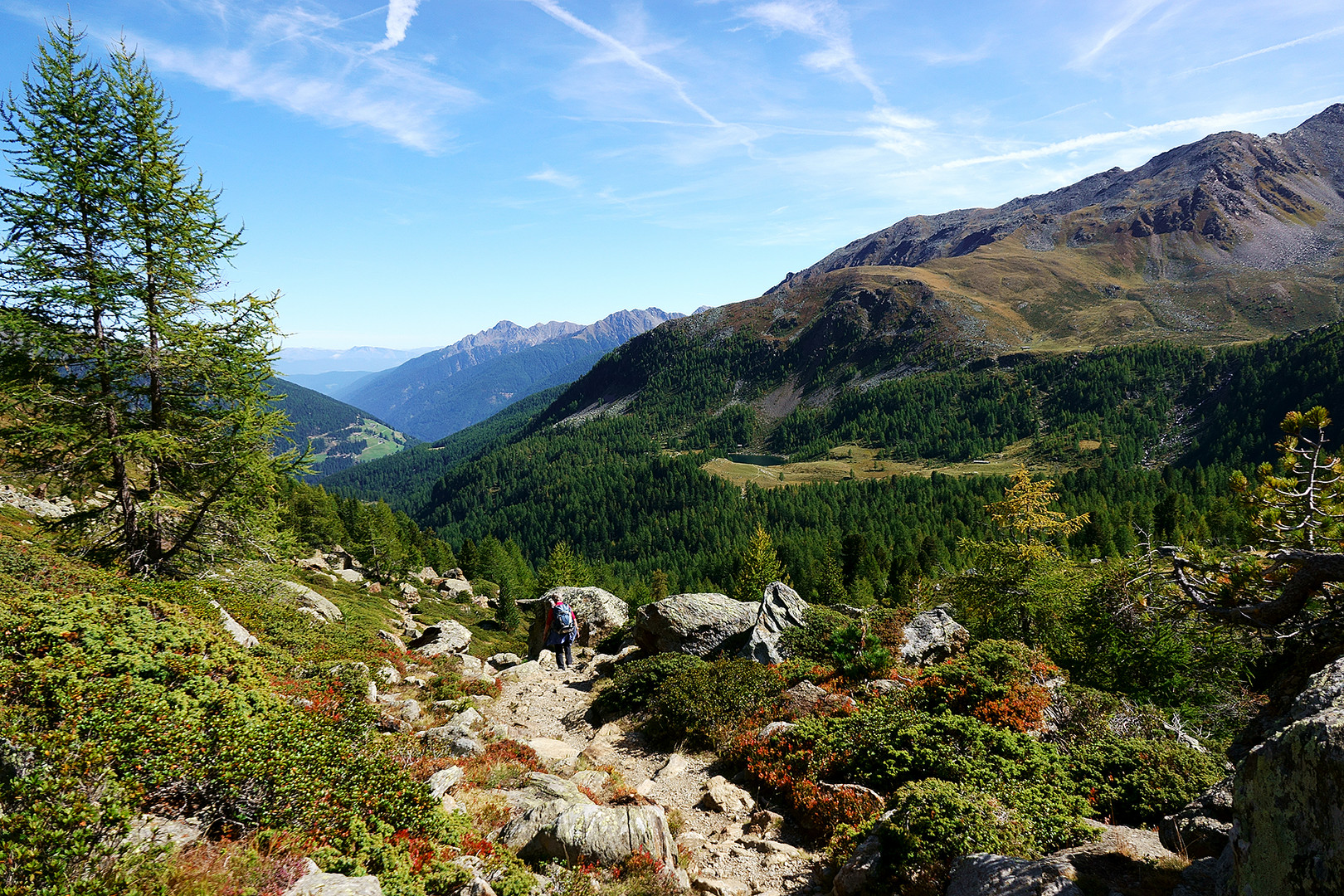 Abstieg von der Höchsterhütte zum Weißbrunnsee