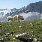 Abstieg von der Zugspitze