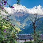 Abstieg von Landruk mit dem Blick auf das Annapurna Massiv  