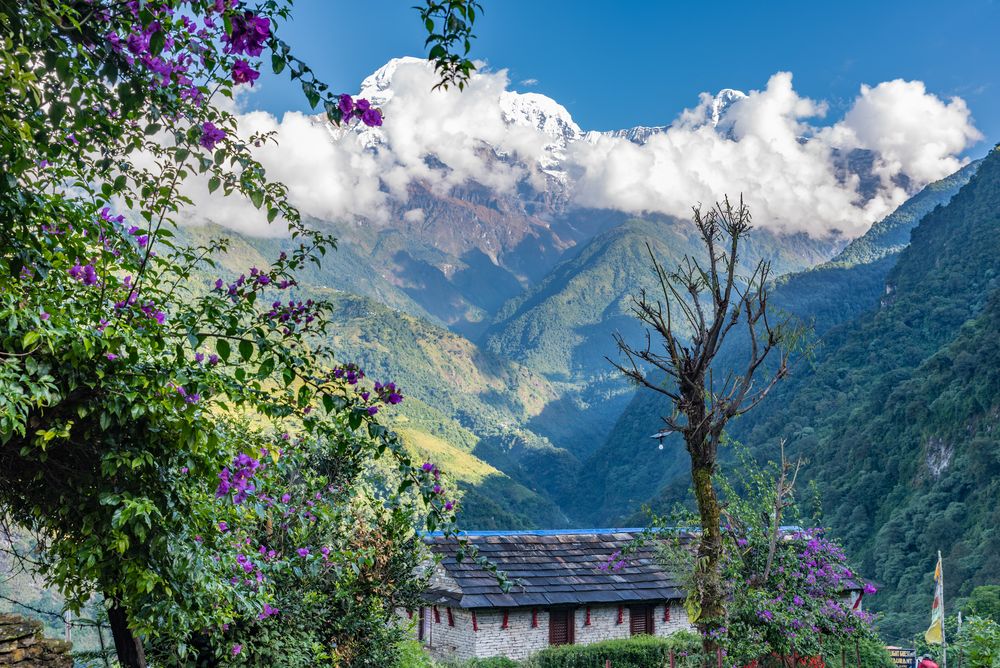 Abstieg von Landruk mit dem Blick auf das Annapurna Massiv  