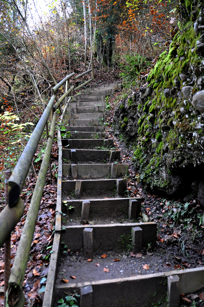 Abstieg zum Schwarzenbachfall