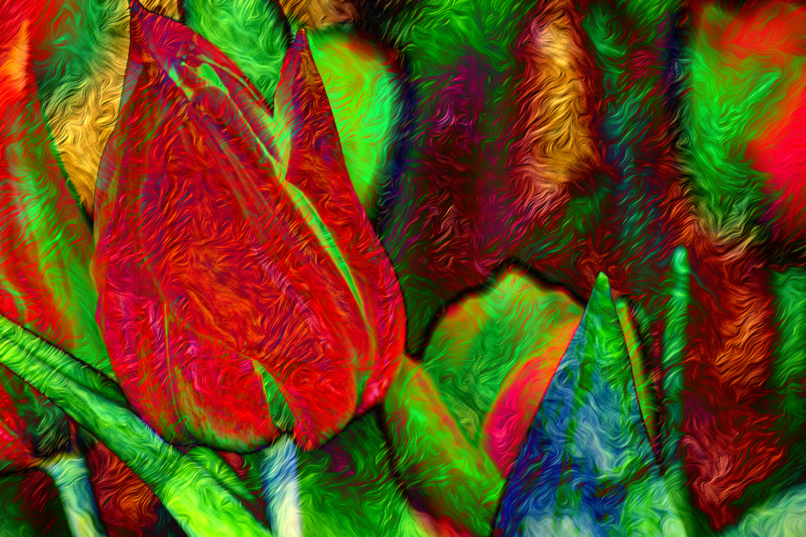 ABSTRACT : FLORA - RED TULIP