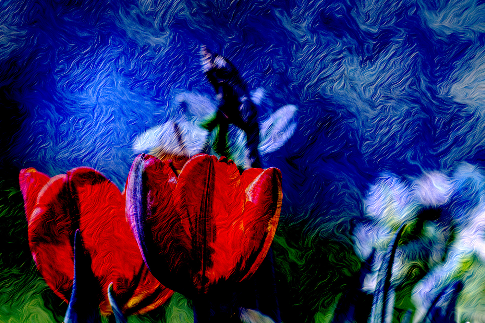 ABSTRACT : FLORA - RED TULIPS