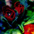 ABSTRACT : FLORA - RED Tulips