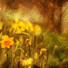 ABSTRACT : FLORA - YELLOW DAFFODILS