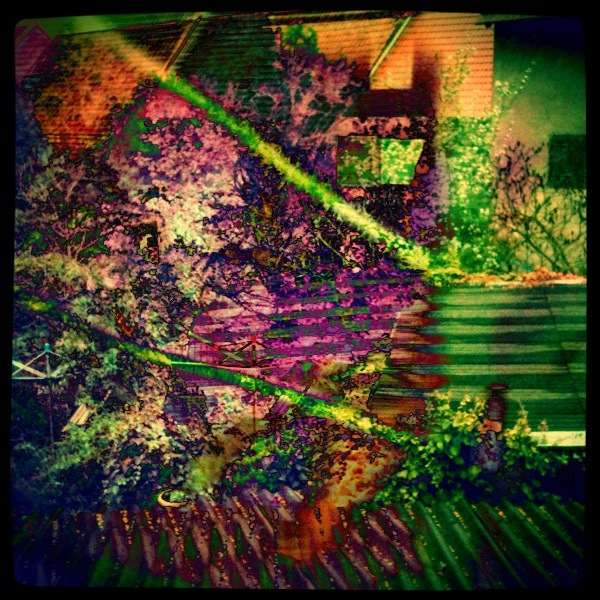 abstract garden #1
