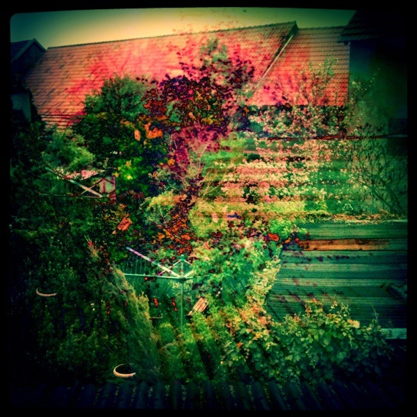 abstract garden #2