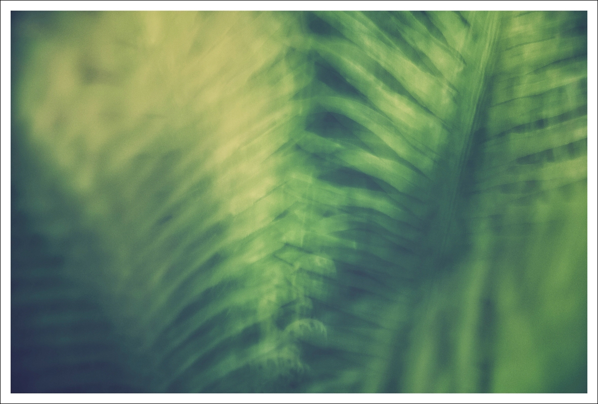 Abstract Leaf