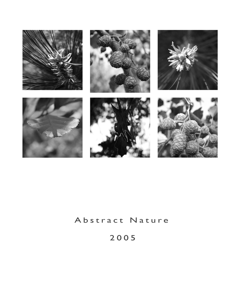 Abstract Nature