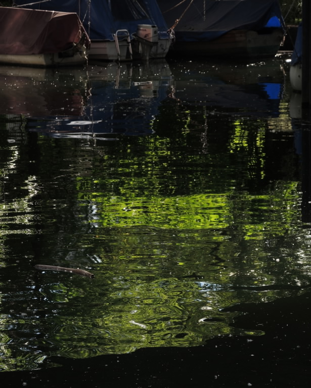 Abstract Reflections and Shadows on Water with Green and Cobalt Blue