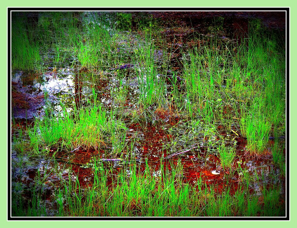 ABSTRACTION LYRIQUE photo et image visions artistiques ABSTRACTION LYRIQUE photo et image visions artistiques