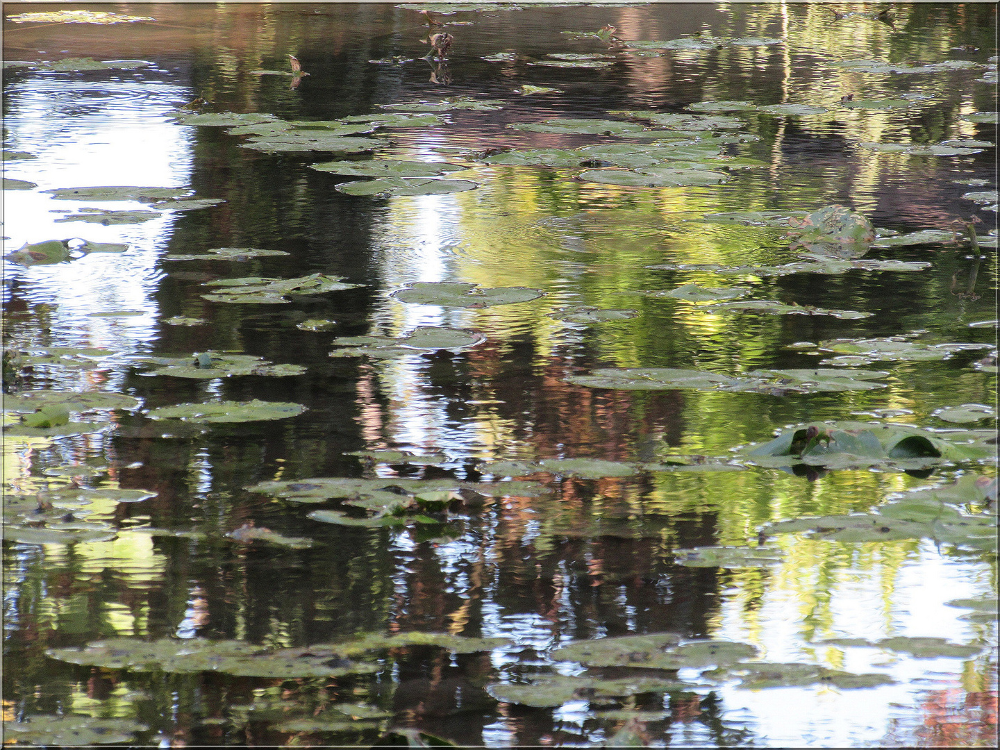  Abstrait  photo  et image paysages divers nature  