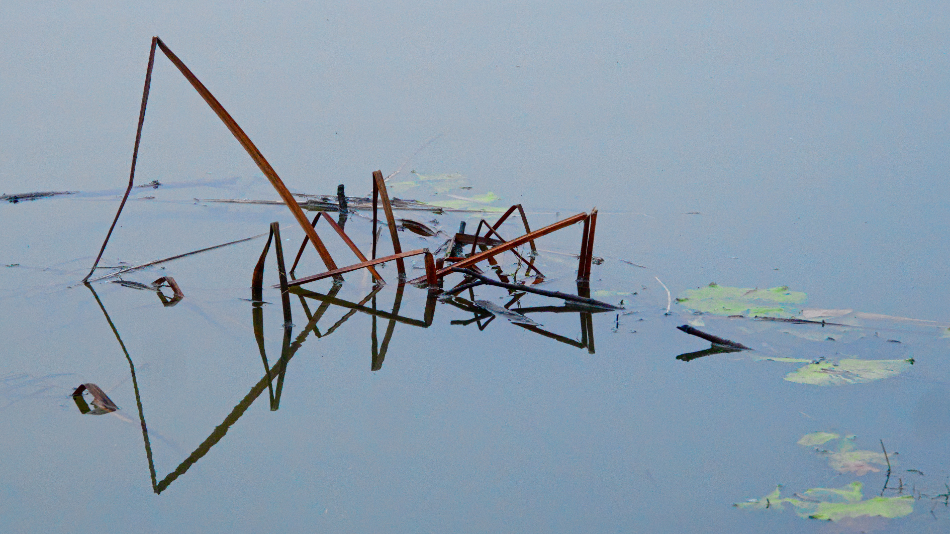 Abstrakte Kunst im Teich
