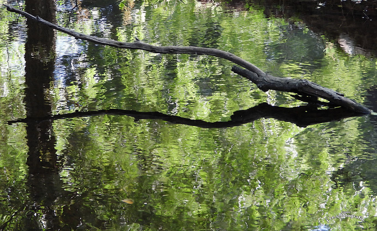 Abstrakte Wasserkunst