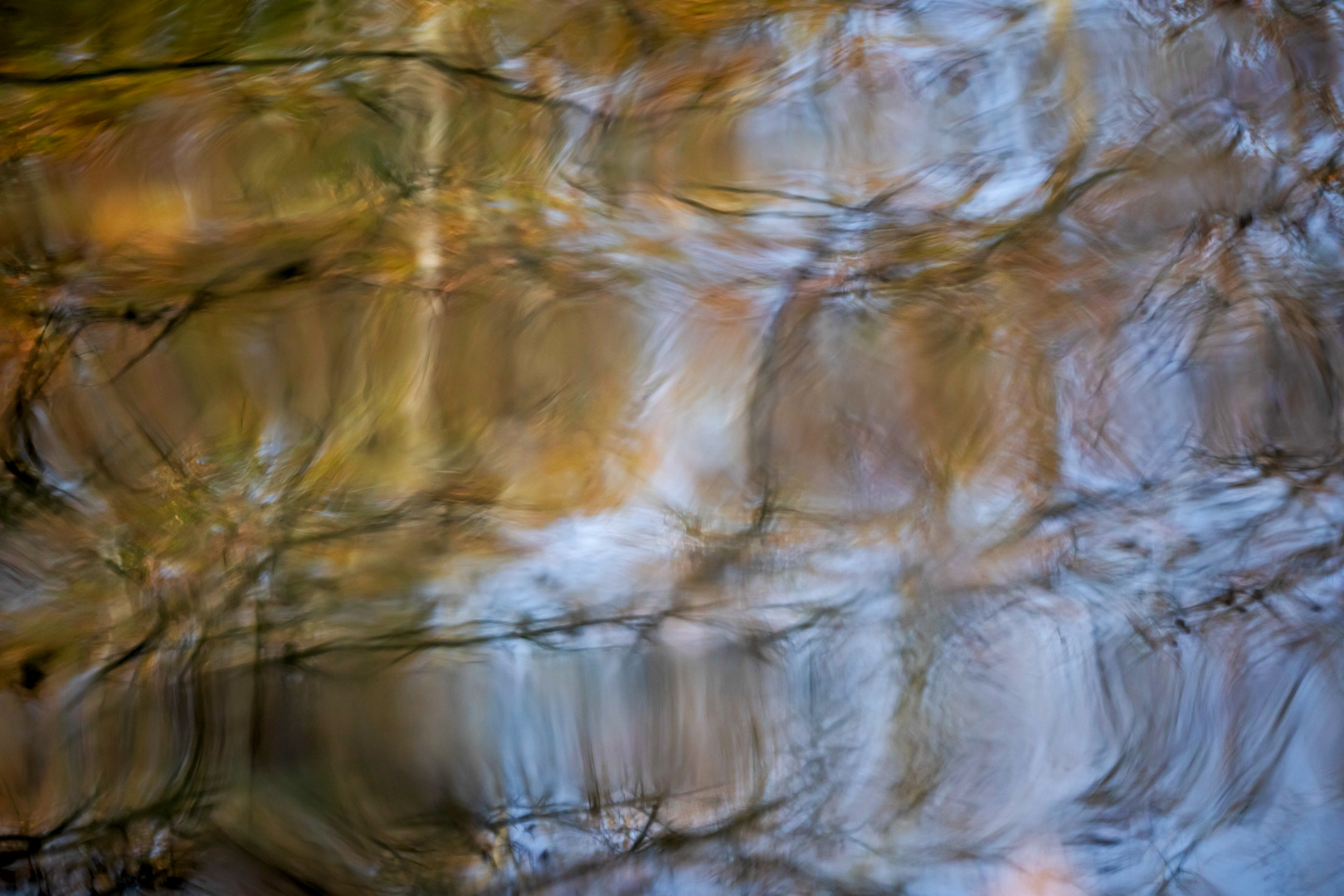 abstrakter Hintergrund Spiegelung von Zweigen im Wasser