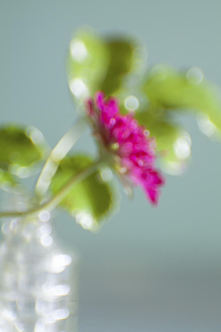 ABSTRAKTES BOKEH