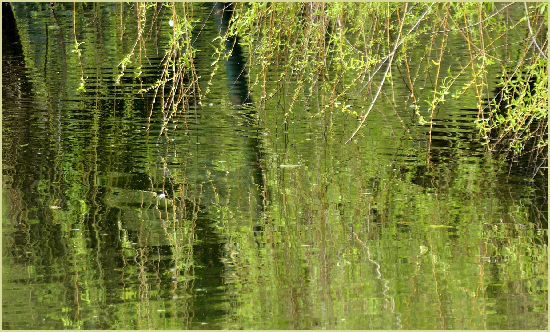 Abstraktes im Wasser