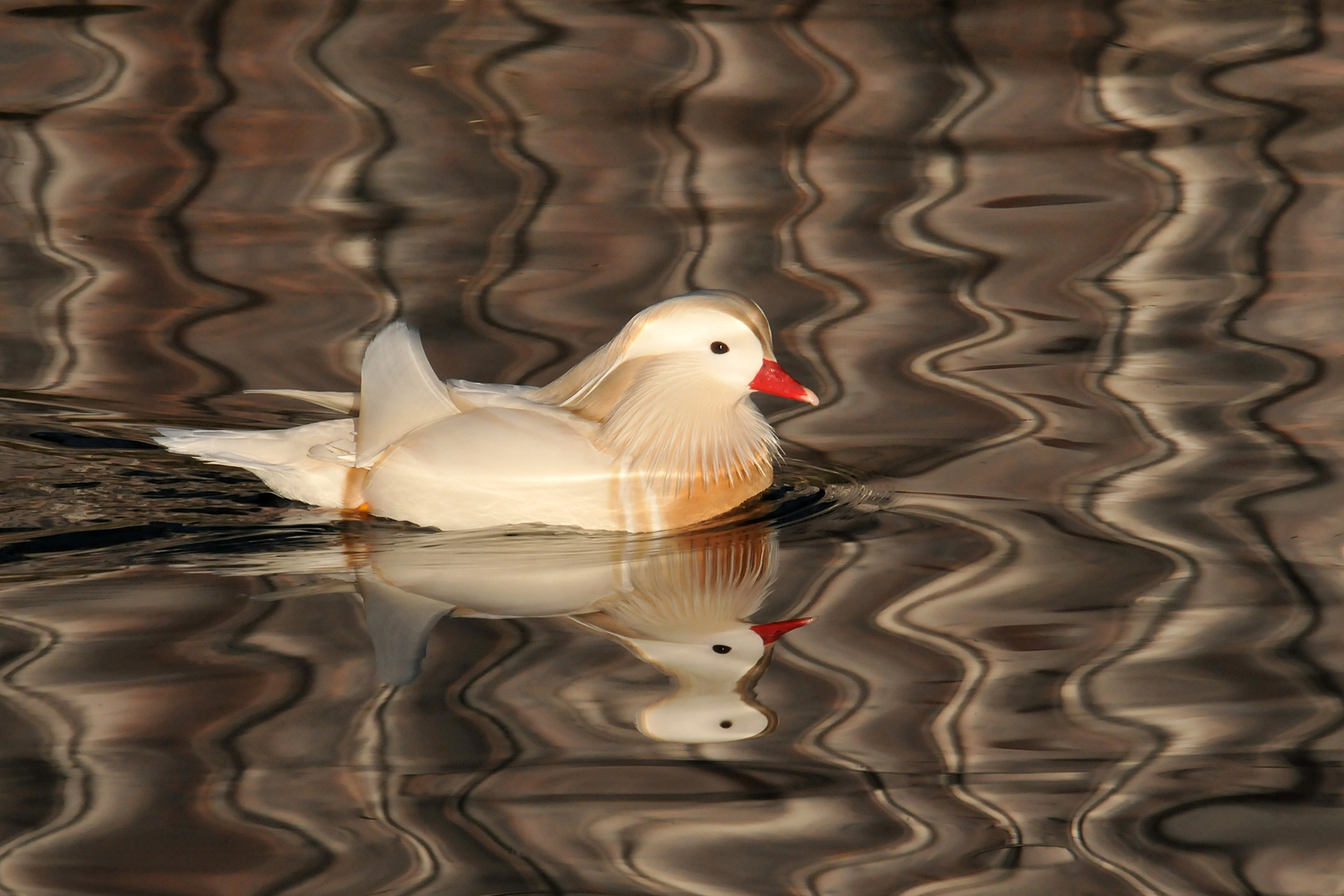 Abstraktes Wasser